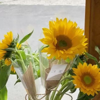 汇彩网登录大厅